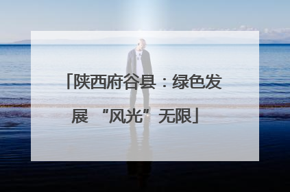 陕西府谷县：绿色发展 “风光”无限